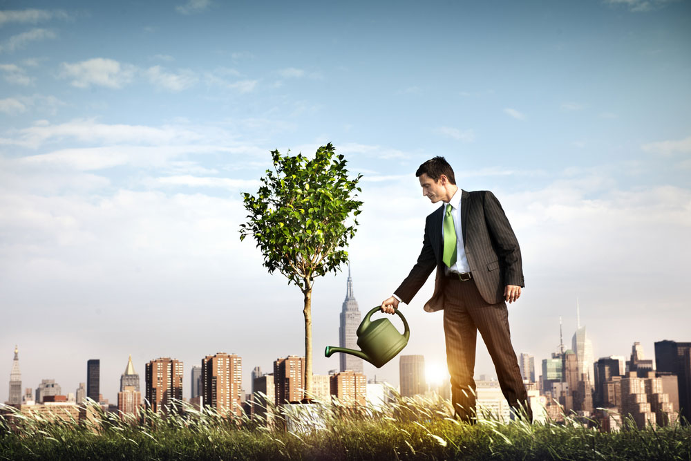 man watering a new tree