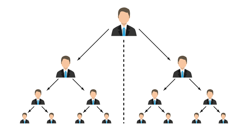 binary organization chart