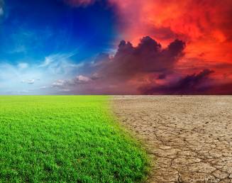 green and dry fields