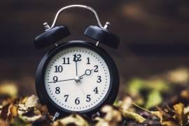 clock-on-leaves