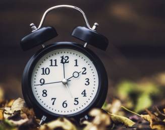 clock-on-leaves